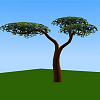 3D VRML arbre