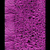 texture éponge violet