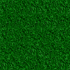 texture pelouse herbe